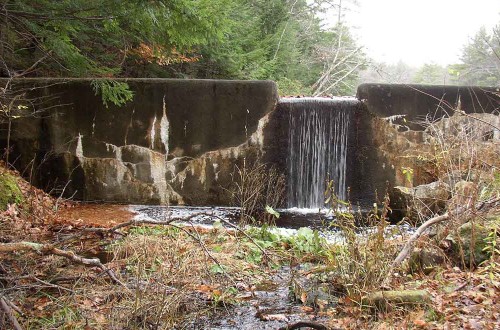 Ann Jackson Dam Removal