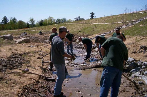 Anthony Drive Restoration