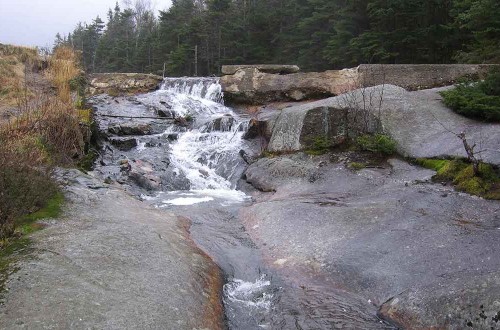 Beaver Pond Dam