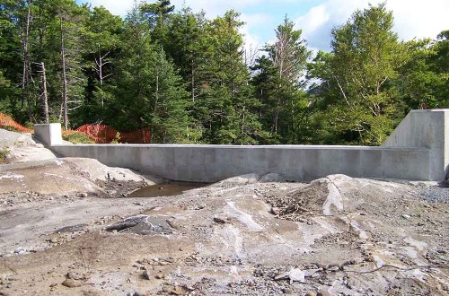 Beaver Pond Dam