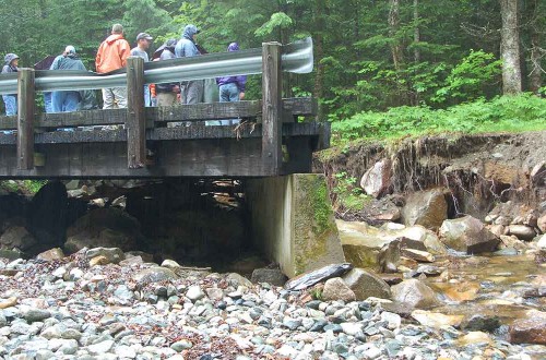 South Gale Road Survey, USFS