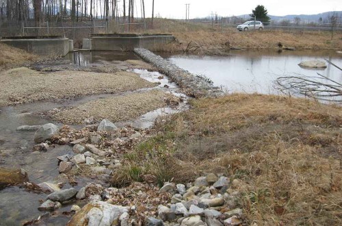 Veteran’s Reservoir Amphibian Habitat