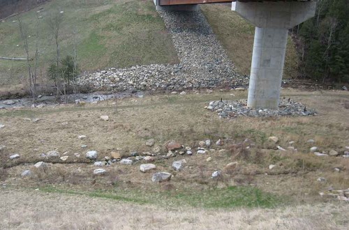 Veteran’s Reservoir Amphibian Habitat