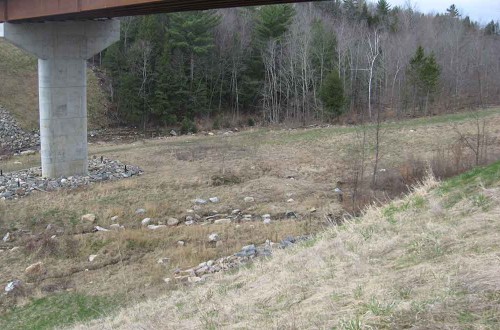 Veteran’s Reservoir Amphibian Habitat