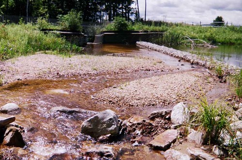 Veteran’s Reservoir Amphibian Habitat