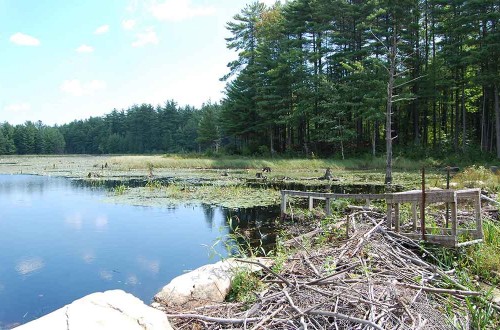 Dam Rehabilitation