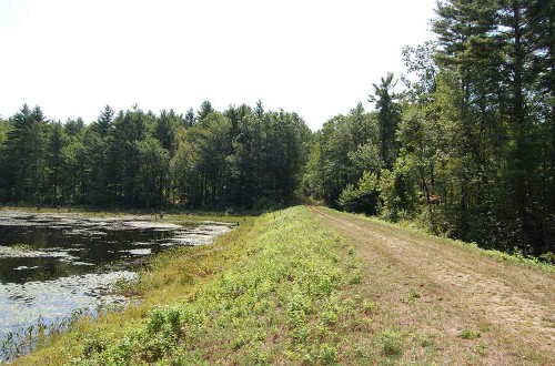 Dam Rehabilitation