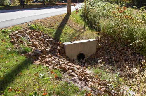 Brookline Sidewalk