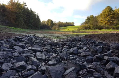 Pomainville Dam Removal