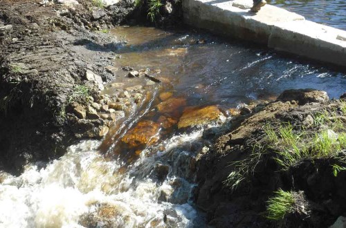 Stump Pond Dam Removal