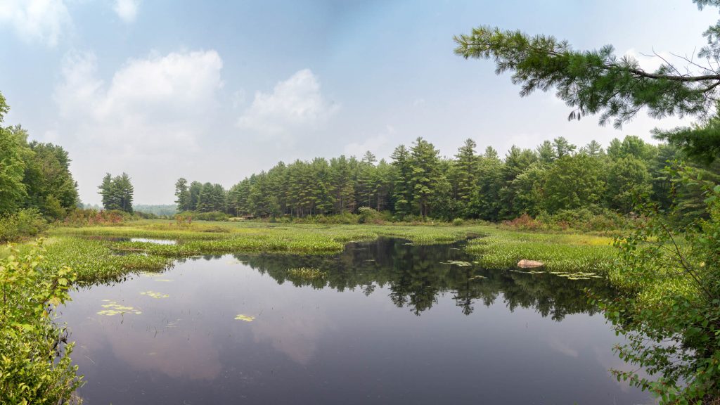 Stone Pond, Existing Conditions